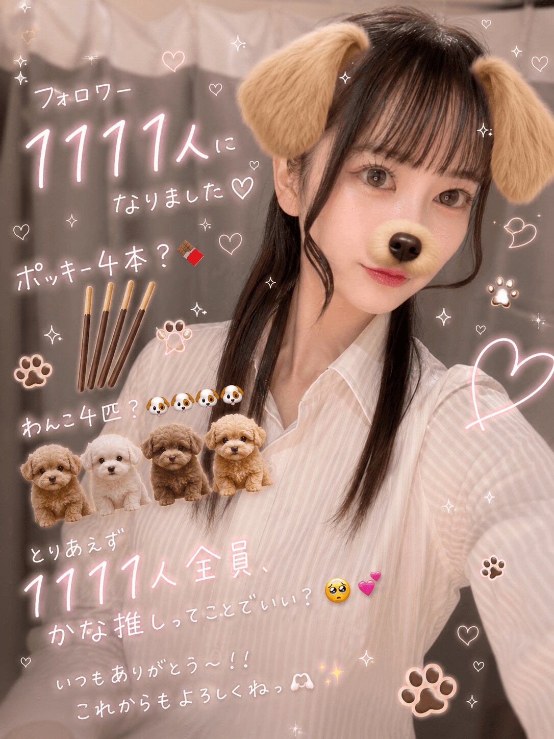 🐶🐶🐶🐶