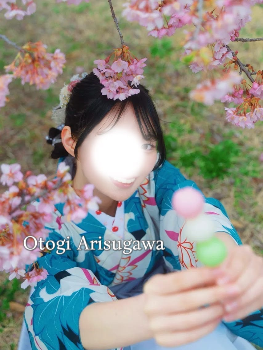 有栖川おとぎ虎の巻